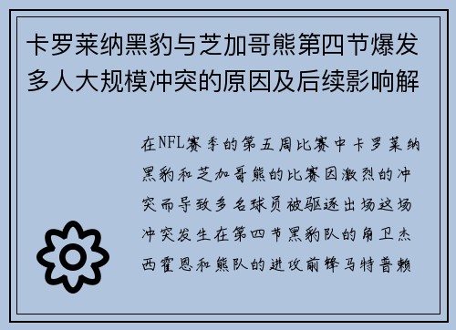 卡罗莱纳黑豹与芝加哥熊第四节爆发多人大规模冲突的原因及后续影响解析